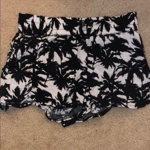 Palm Tree Shorts